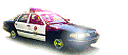 lapdcar.gif
